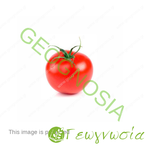 sporoi-tomatas-robin-f1-bayer-seminis