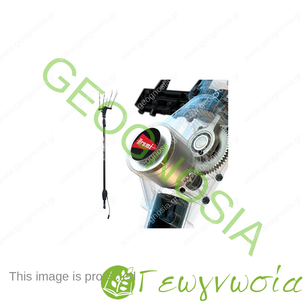 Ελαιοραβδιστικό Μπαταρίας Τηλεσκοπικό Zenit 36v Brumi