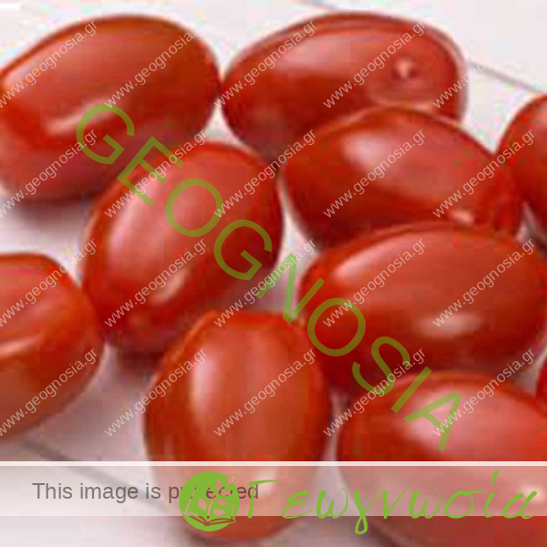 sporoi-tomatas-seychelle-f1-syngenta