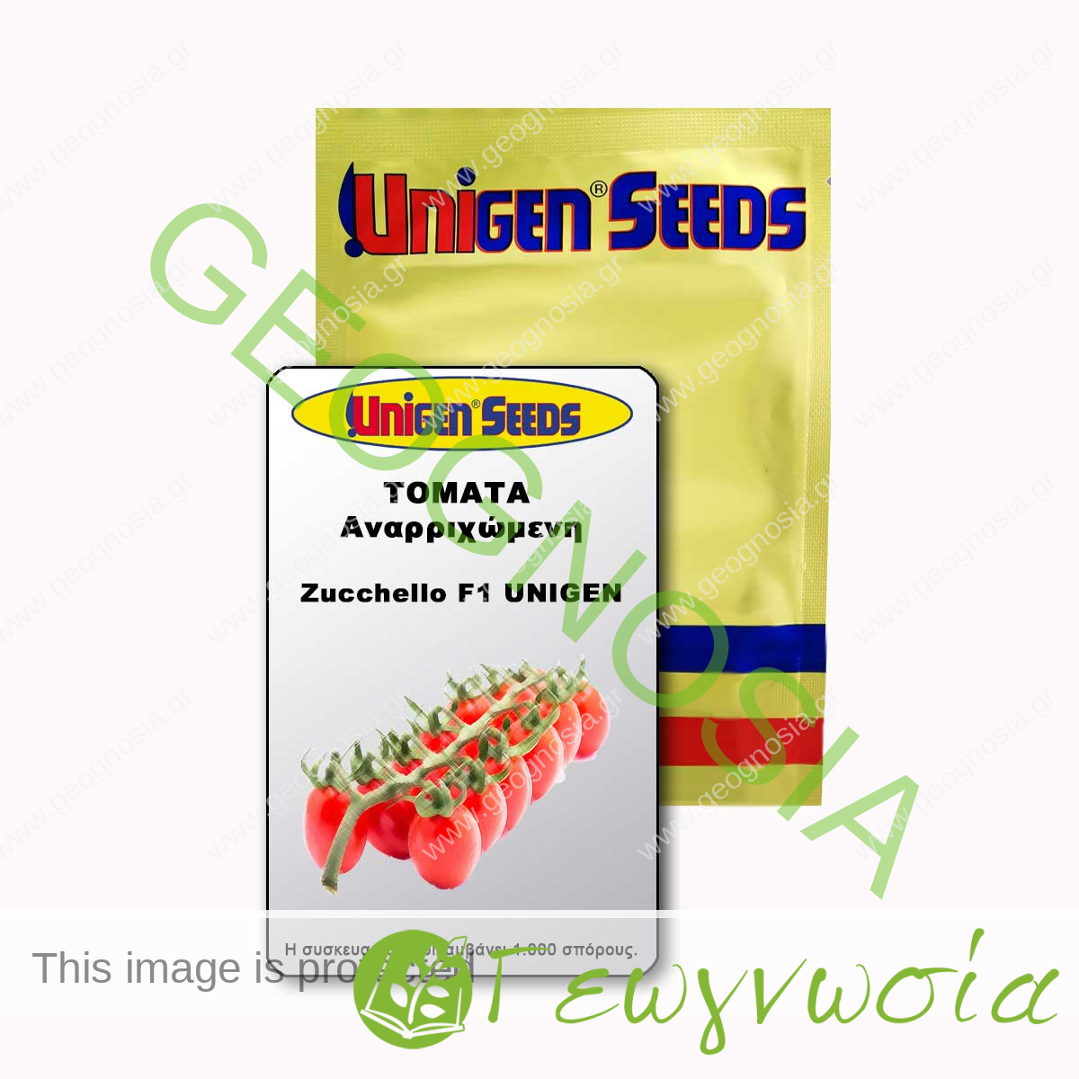sporoi-tomatas-zucchello-f1-unigen-seeds