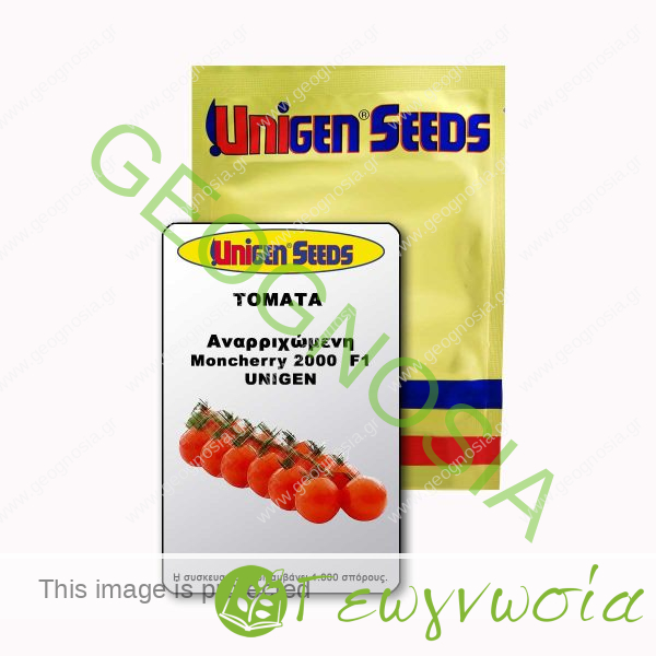 sporoi-tomatas-cherry-moncherry-2000-f1-unigen-seeds
