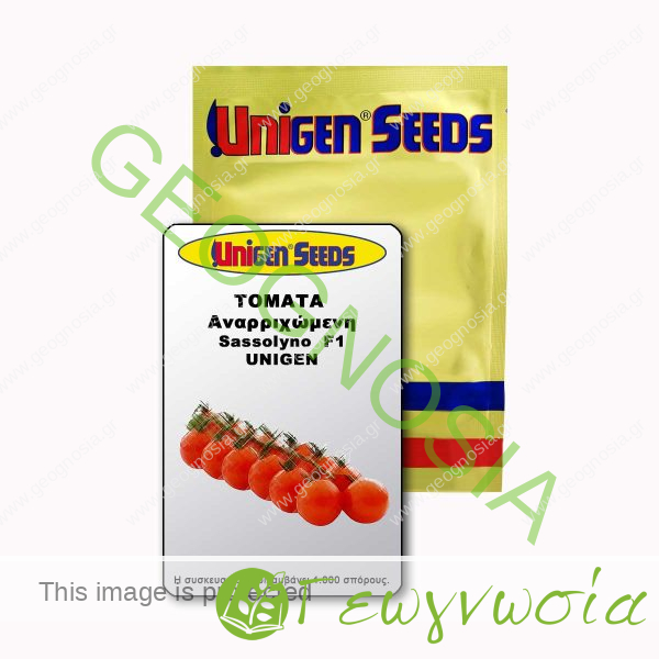 sporoi-tomatas-cherry-sassolyno-f1-unigen-seeds