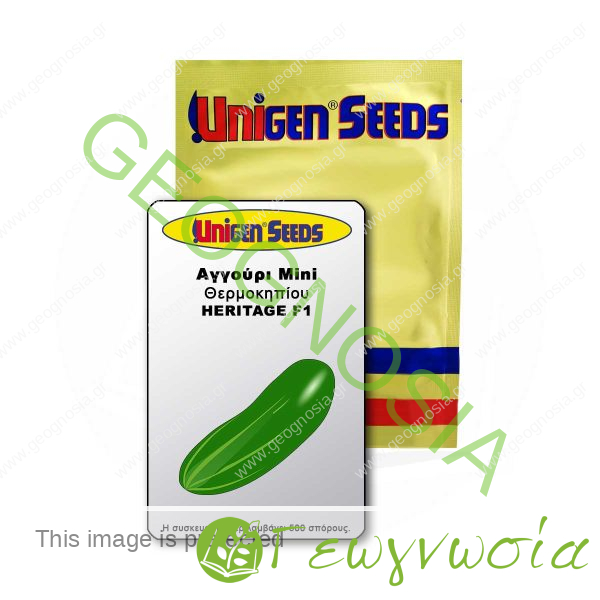 sporoi-mini-aggoyri-heritage-f1-unigen-seeds