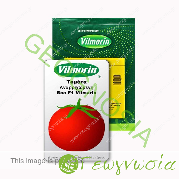 sporoi-tomatas-boa-f1-vilmorin