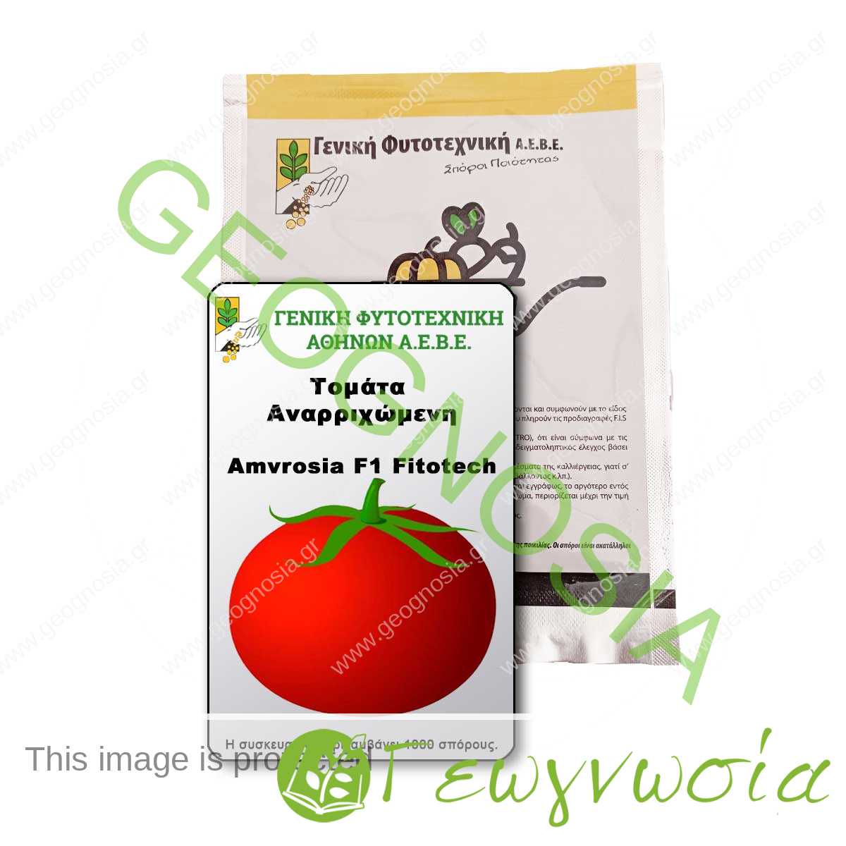 sporoi-tomata-amvrosia-f1-fitotech