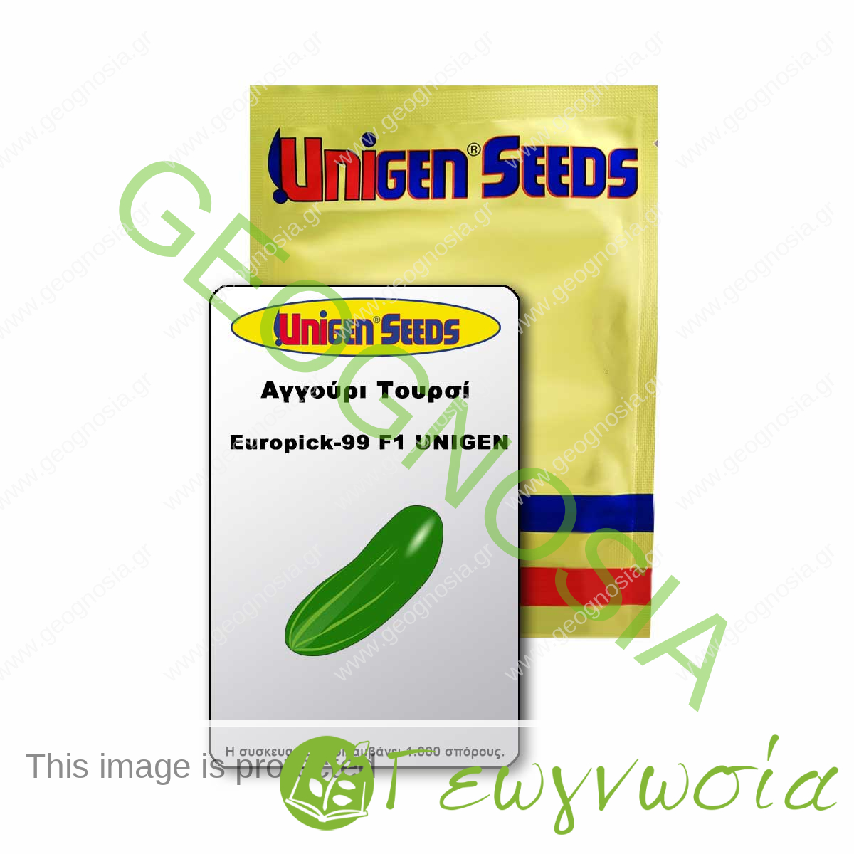 sporoi-aggoyri-toyrsi-europick-99-f1-unigen-seeds