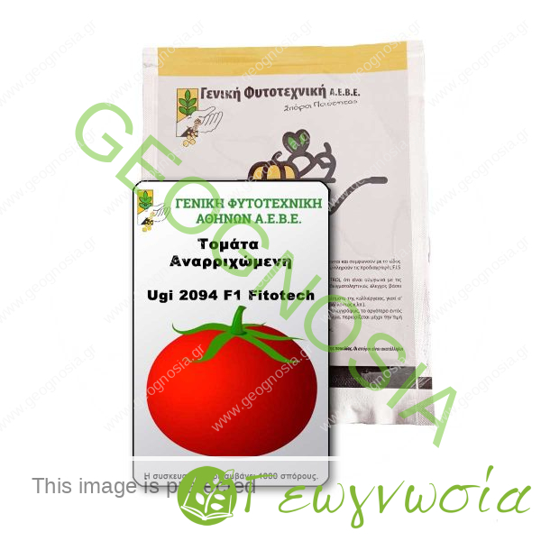 sporoi-tomata-ugi-2094-f1-fitotech