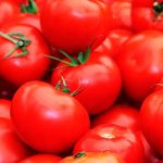 sporoi-tomata-dual-early-f1-fitotech
