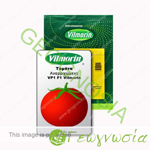 sporoi-tomatas-vp1-f1-vilmorin