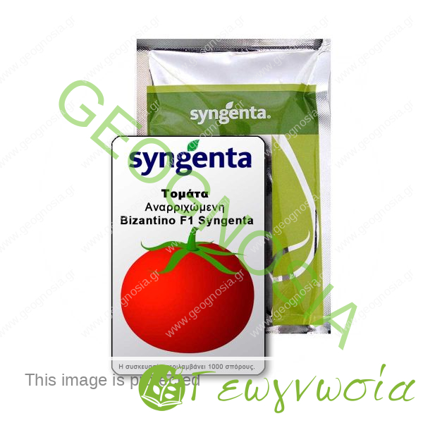sporoi-tomatas-bizantino-f1-syngenta-product-plants-tools-gardening-geognosia-copy