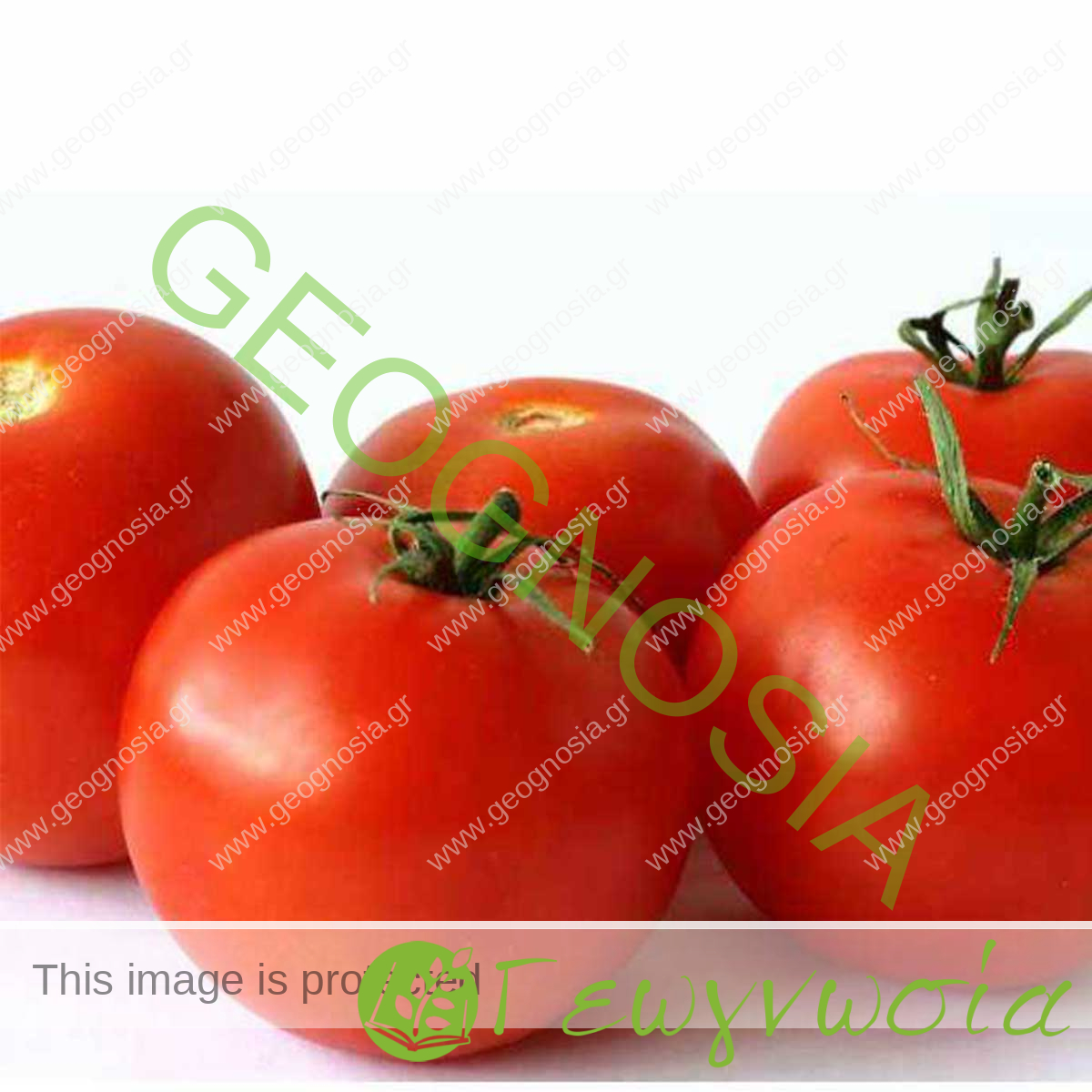 sporoi-tomatas-fiesta-f1-geoponiki