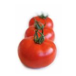 sporoi-tomatas-torry-f1-syngenta