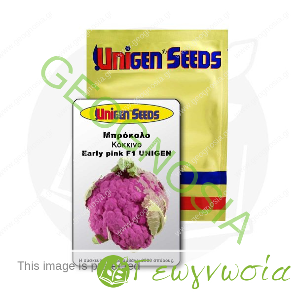 sporoi-mprokoloy-kokkinoy-early-pink-f1-unigen-seeds