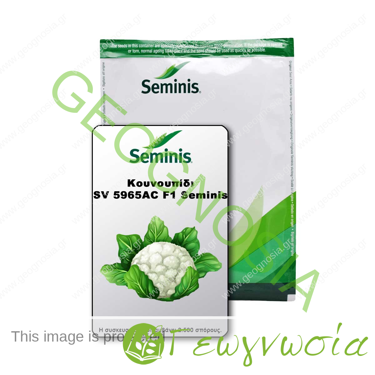 sporoi-kounoupidi-sv-5965ac-f1-bayer-seminis