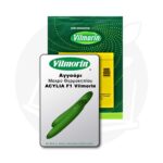 Σπόροι Αγγούρι ACYLIA F1 Vilmorin