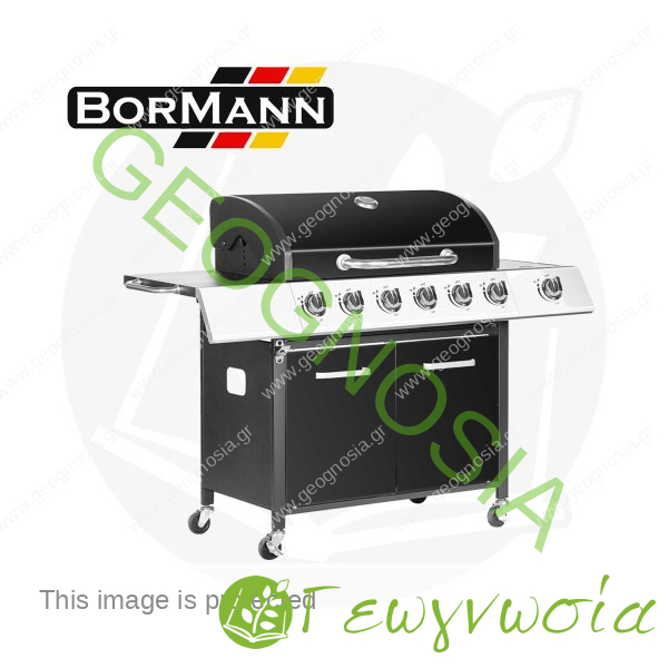 Ψησταριά Υγραερίου BBQ4600 - BORMANN