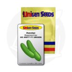 Σπόροι Αγγούρι UG 49017 F1 Unigen