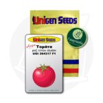 Σπόροι Τομάτας UGI 364317 F1 Unigen