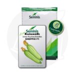 Σπόροι Κολοκυθιού GHEPPIO F1 Bayer Seminis