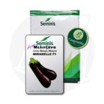 Σπόροι Μελιτζάνα MIRABELLE F1 Bayer Seminis
