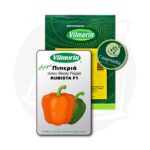 Σπόροι Πιπεριάς KUBISTA F1 – Vilmorin