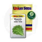 Σπόροι Μαρούλι Batavia CURLY STAR Unigen