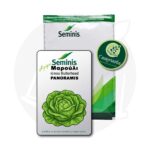 Σπόροι Μαρούλι Butterhead PANORAMIS Bayer-Seminis